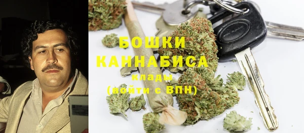 гидропоника Абаза